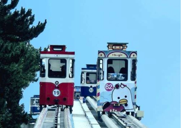 太金國際旅行社的旅遊行程介紹圖片